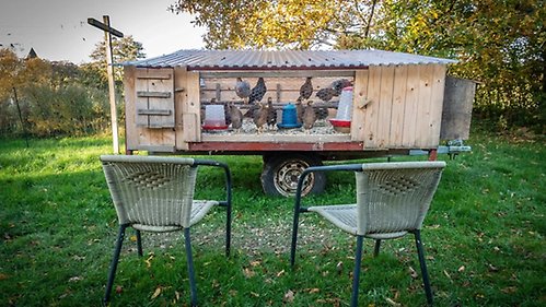Image of Chook TV shows. The casual viewing set up of the new mobile chicken coop