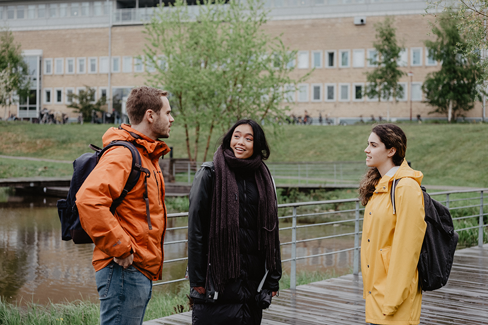 Studenter studerar utomhus vid Umeå universitet
