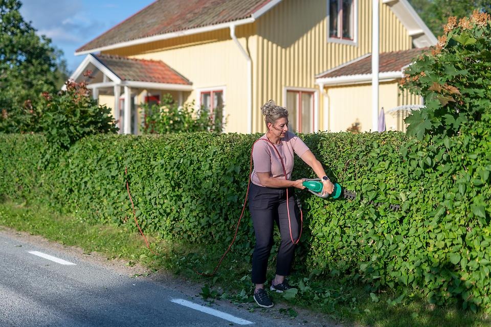 hus, staket, trottoar, träd, stavgångare