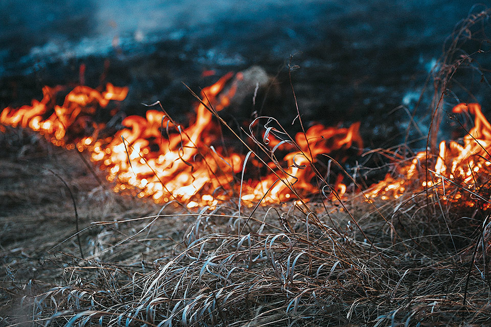 Brand i torrt gräs