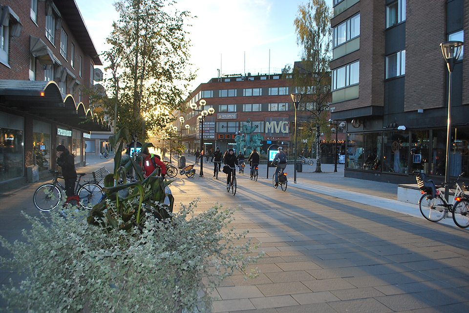 Kungsgatan, cyklister, morgonljus, björk