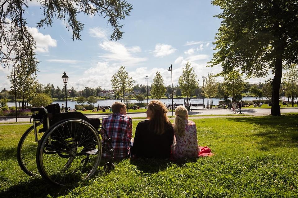 tre personer i en park