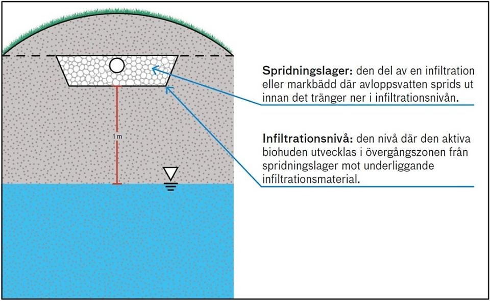 Figur 1 prov för siktanalys