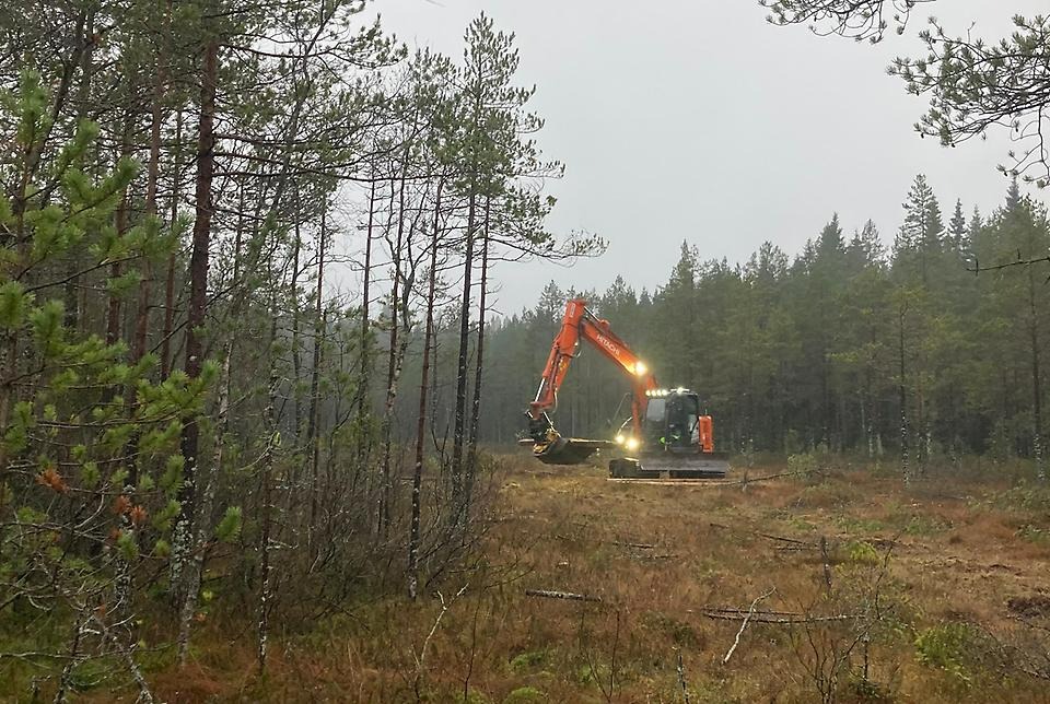 Restaurering av Blomstermyran i Grössjöns naturreservat