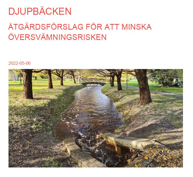 Framsidan av den rapport som analys- och konsultföretaget WSP har tagit fram om Djupbäcken.