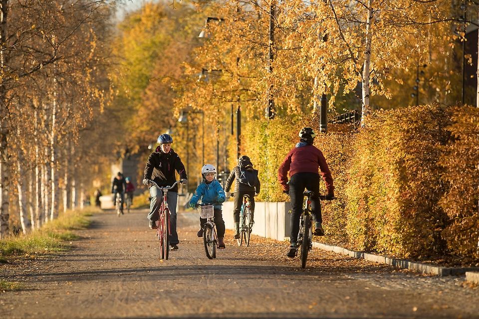 föräldrar och barn cyklar på en cykelväg, höst
