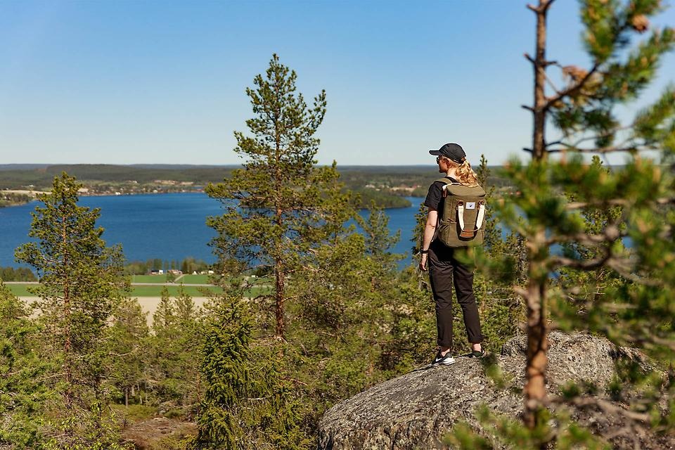 Bild på utsikt från Tavelsjöberget.