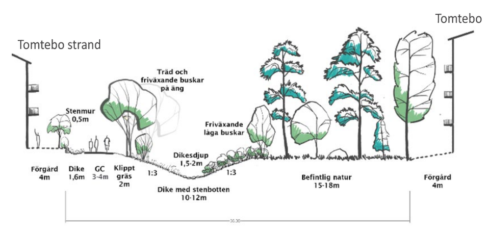 Illustration över mötet mellan befintliga Tomtebo och blivande Tomtebo strand.