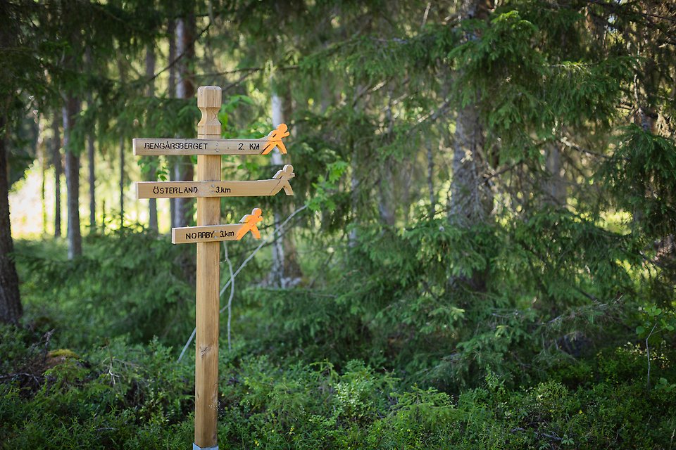 Ange alt-text; vad bilder föreställer.