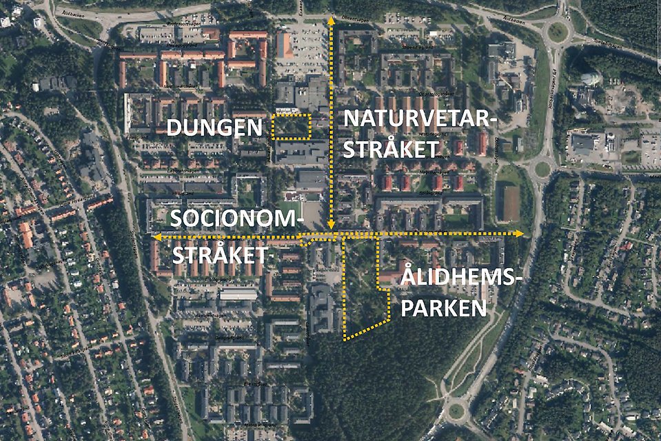 Dungen, Naturvetarstråket, Socionomstråket och Ålidhemsparken är de platser som ska utvecklas under tiden som projektet pågår.