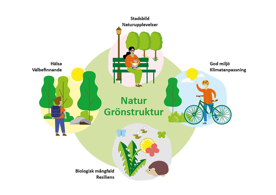 Naturens olika värden och nyttor visualiseras av olika illustrationer.